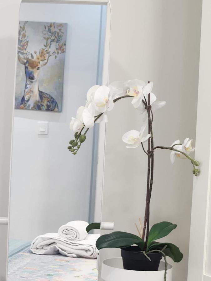 Apartamento Paula Valladolid Buitenkant foto